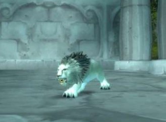 魔兽世界怀旧服贫瘠之地埃其亚基任务怎么做?WOW埃其亚基在哪里? 魔兽世界怀旧服贫瘠之地埃其亚基任务怎么做?WOW埃其亚基在哪里?