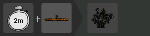 一小时人生玫瑰花卉怎么种的攻略 一小时人生玫瑰花卉怎么种的攻略