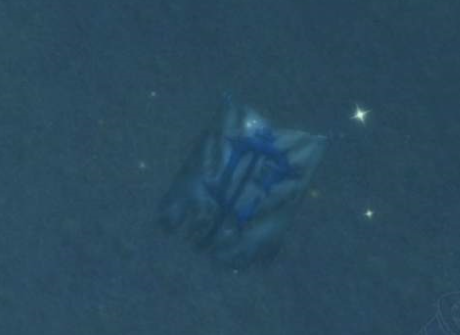 魔兽世界怀旧服失落的荣耀任务怎么做?WOW怀旧服失落荣耀的象征在哪儿? 魔兽世界怀旧服失落的荣耀任务怎么做?WOW怀旧服失落荣耀的象征在哪儿?