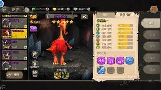 疯狂原始人全物理阵容怎么样？宠物阵容搭配指南