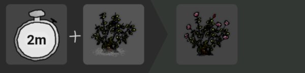 一小时人生玫瑰花卉怎么种的攻略 一小时人生玫瑰花卉怎么种的攻略