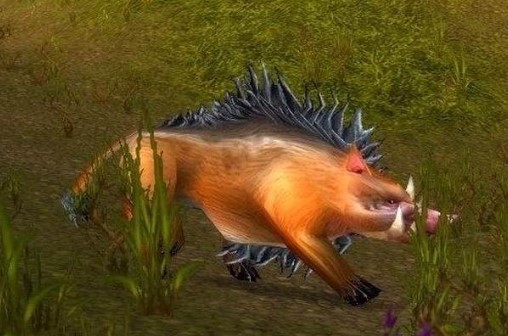 魔兽世界怀旧服洛克莫丹猎人的挑战任务怎么做？WOW怀旧服老山猪在哪儿？