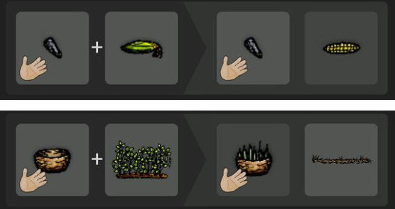 一小时人生怎么获取烹饪食物 一小时人生怎么获取烹饪食物