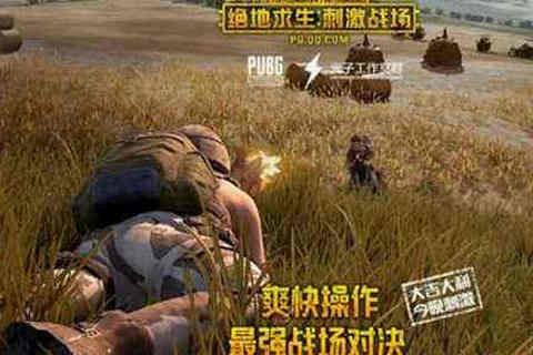 和平精英游戏吃鸡的小技巧 和平精英游戏吃鸡的小技巧