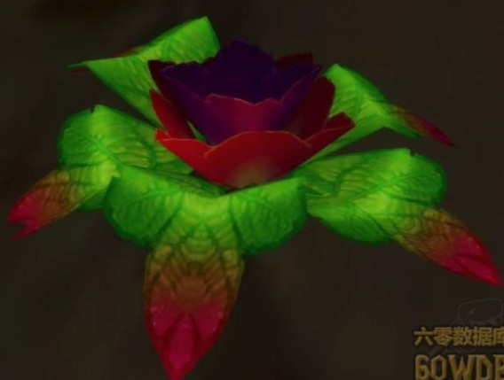 魔兽世界怀旧服哀嚎洞穴毒蛇花任务怎么做?WOW怀旧服毒蛇花在哪儿? 魔兽世界怀旧服哀嚎洞穴毒蛇花任务怎么做?WOW怀旧服毒蛇花在哪儿?