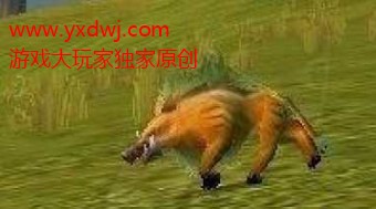 魔兽世界怀旧服斗猪任务怎么做？WOW怀旧服斗猪头和斗猪肋排分别在哪儿掉？