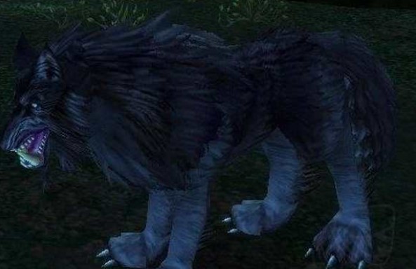 魔兽世界怀旧服荒野之心任务怎么做?WOW怀旧服变色的狼心在哪儿? 魔兽世界怀旧服荒野之心任务怎么做?WOW怀旧服变色的狼心在哪儿?