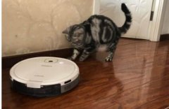 科沃斯扫地机器人连接wifi注意事项