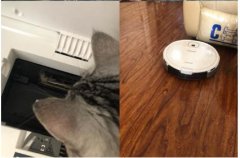 美女白领使用科沃斯扫地机器人试用过程