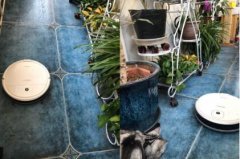 科沃斯扫地机器人dn35优点