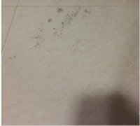 2018科沃斯扫地机器人dj35试用报告