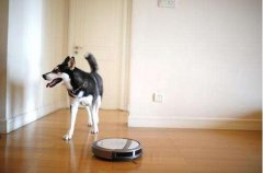 扫地机器人解放双手丰富用户了娱乐