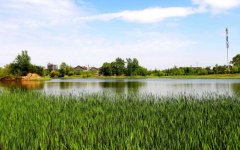 不同价位的扫地机器人的性价比