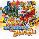 忍者棒球手机版手游折扣