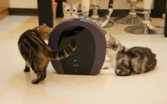 硬件的升级让人们对扫机器人更加钟爱