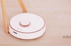 智能扫地机器人模仿的对象