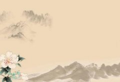 中国风样式的扫地机器人