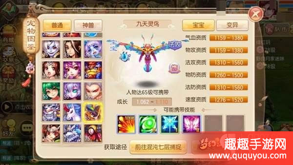 梦幻诛仙九天灵鸟属性及技能加点该怎么详细解读