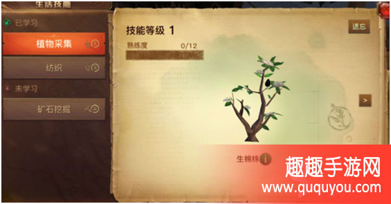 光明大陆怎么快速采集20级