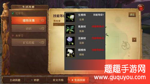 光明大陆生活技能有哪些